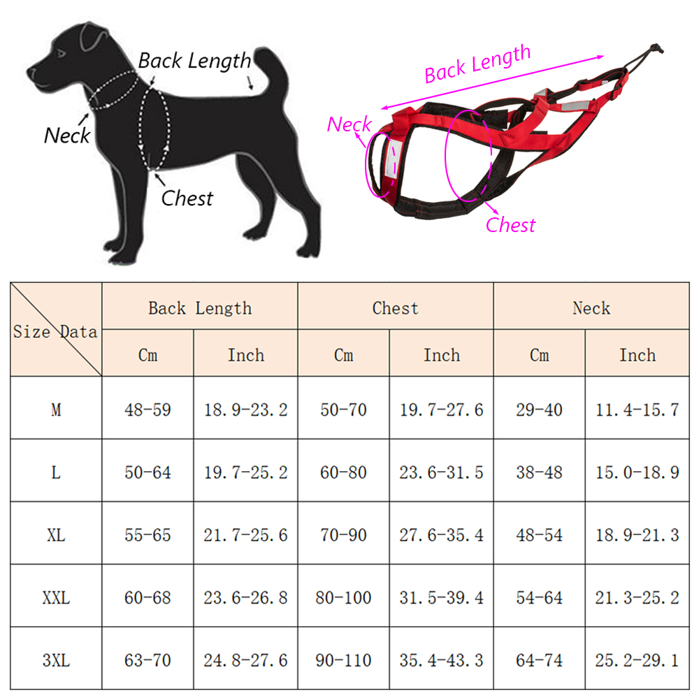 High Quality Big Dog Sledge Ha - Reflective Jacket Running review and price