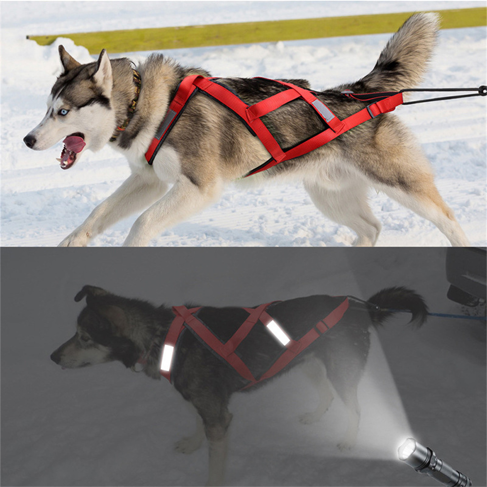 High Quality Big Dog Sledge Ha - Reflective Jacket Running review and price